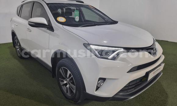 Tenga Tsaru Toyota RAV4 Chena Mota in Beitbridge in Matabeleland South