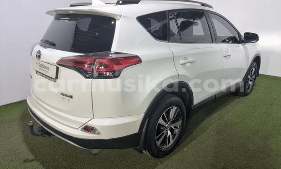 Buy Used Toyota RAV4 White Car in Beitbridge in Matabeleland South Buy Used Toyota RAV4 White Car in Beitbridge in Matabeleland South