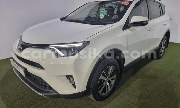 Buy Used Toyota RAV4 White Car in Beitbridge in Matabeleland South Buy Used Toyota RAV4 White Car in Beitbridge in Matabeleland South