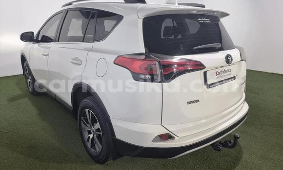 Buy Used Toyota RAV4 White Car in Beitbridge in Matabeleland South Buy Used Toyota RAV4 White Car in Beitbridge in Matabeleland South