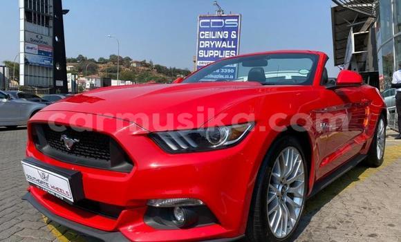 Buy Used Ford Mustang Red Car in Beitbridge in Matabeleland South Buy Used Ford Mustang Red Car in Beitbridge in Matabeleland South