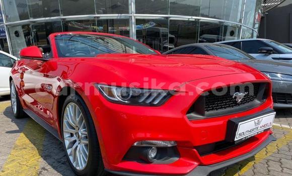 Buy Used Ford Mustang Red Car in Beitbridge in Matabeleland South Buy Used Ford Mustang Red Car in Beitbridge in Matabeleland South