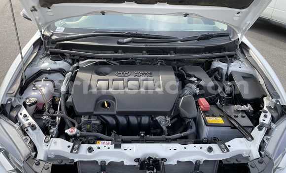 Buy Used Toyota Allion White Car in Beitbridge in Matabeleland South Buy Used Toyota Allion White Car in Beitbridge in Matabeleland South