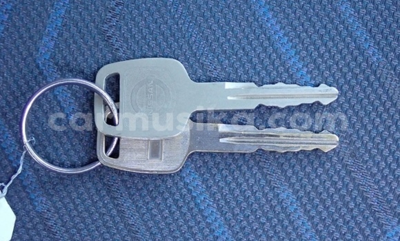 Acheter Occasion Voiture Nissan Caravan Gris à Beitbridge, Matabeleland South Acheter Occasion Voiture Nissan Caravan Gris à Beitbridge, Matabeleland South