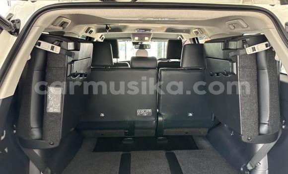 Acheter Occasion Voiture Toyota Fortuner Blanc à Beitbridge, Matabeleland South Acheter Occasion Voiture Toyota Fortuner Blanc à Beitbridge, Matabeleland South