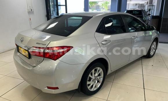 Acheter Occasion Voiture Toyota Corolla Gris à Beitbridge, Matabeleland South Acheter Occasion Voiture Toyota Corolla Gris à Beitbridge, Matabeleland South