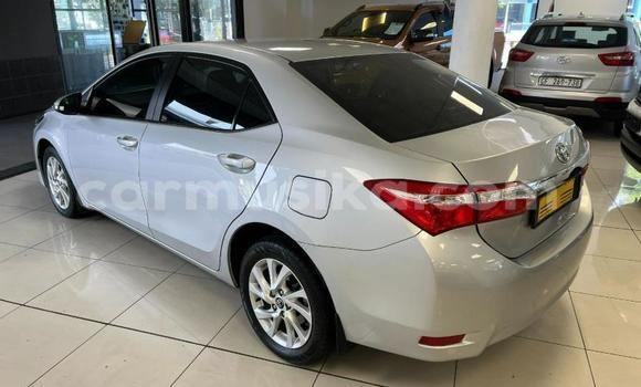 Acheter Occasion Voiture Toyota Corolla Gris à Beitbridge, Matabeleland South Acheter Occasion Voiture Toyota Corolla Gris à Beitbridge, Matabeleland South