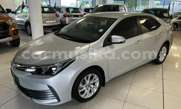 Acheter Occasion Voiture Toyota Corolla Gris à Beitbridge, Matabeleland South Acheter Occasion Voiture Toyota Corolla Gris à Beitbridge, Matabeleland South