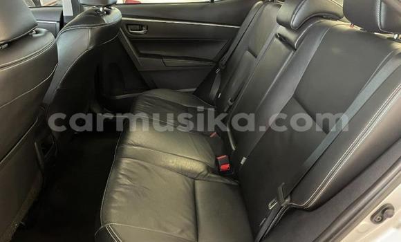 Acheter Occasion Voiture Toyota Corolla Gris à Beitbridge, Matabeleland South Acheter Occasion Voiture Toyota Corolla Gris à Beitbridge, Matabeleland South