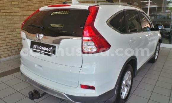 Acheter Occasion Voiture Honda CR–V Blanc à Beitbridge, Matabeleland South Acheter Occasion Voiture Honda CR–V Blanc à Beitbridge, Matabeleland South