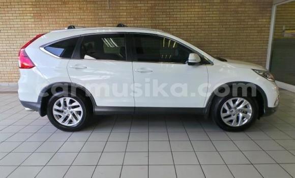 Acheter Occasion Voiture Honda CR–V Blanc à Beitbridge, Matabeleland South Acheter Occasion Voiture Honda CR–V Blanc à Beitbridge, Matabeleland South