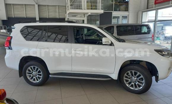 Acheter Occasion Voiture Toyota Land Cruiser Prado Blanc à Beitbridge, Matabeleland South