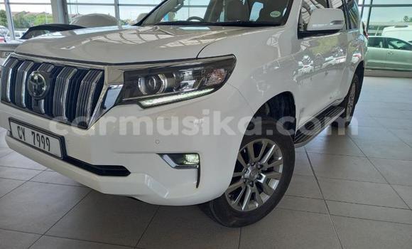 Acheter Occasion Voiture Toyota Land Cruiser Prado Blanc à Beitbridge, Matabeleland South Acheter Occasion Voiture Toyota Land Cruiser Prado Blanc à Beitbridge, Matabeleland South