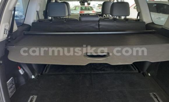 Acheter Occasion Voiture Toyota Land Cruiser Prado Blanc à Beitbridge, Matabeleland South Acheter Occasion Voiture Toyota Land Cruiser Prado Blanc à Beitbridge, Matabeleland South