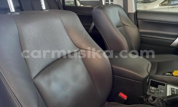Acheter Occasion Voiture Toyota Land Cruiser Prado Blanc à Beitbridge, Matabeleland South Acheter Occasion Voiture Toyota Land Cruiser Prado Blanc à Beitbridge, Matabeleland South