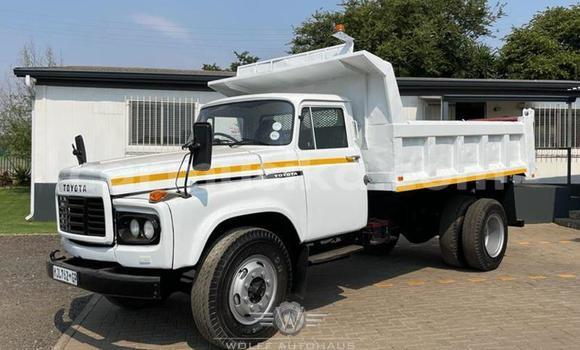 Buy Used Nissan UD White Truck in Beitbridge in Matabeleland South