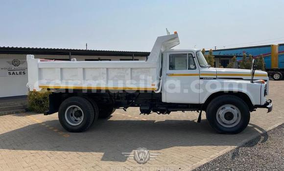 Buy Used Nissan UD White Truck in Beitbridge in Matabeleland South Buy Used Nissan UD White Truck in Beitbridge in Matabeleland South