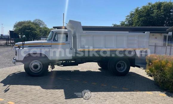 Buy Used Nissan UD White Truck in Beitbridge in Matabeleland South Buy Used Nissan UD White Truck in Beitbridge in Matabeleland South