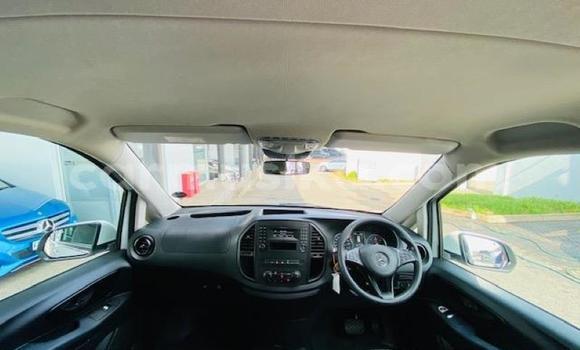 Buy Used Mercedes‒Benz Vito White Car in Beitbridge in Matabeleland South Buy Used Mercedes‒Benz Vito White Car in Beitbridge in Matabeleland South