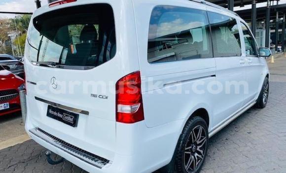 Buy Used Mercedes‒Benz Vito White Car in Beitbridge in Matabeleland South Buy Used Mercedes‒Benz Vito White Car in Beitbridge in Matabeleland South