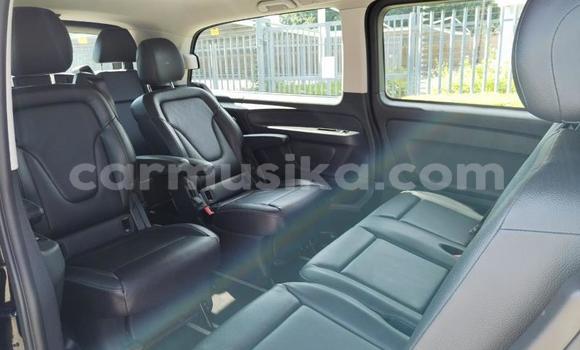 Buy Used Mercedes‒Benz Vito Other Car in Beitbridge in Matabeleland South Buy Used Mercedes‒Benz Vito Other Car in Beitbridge in Matabeleland South