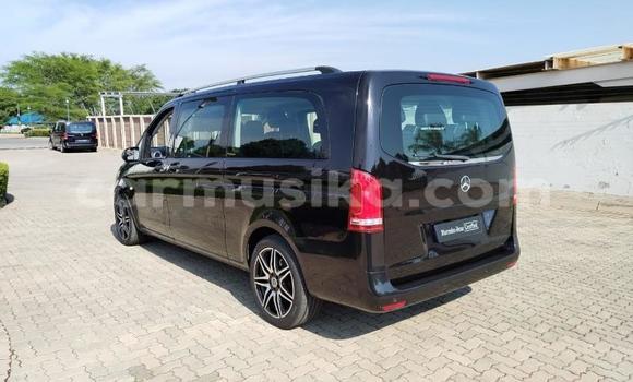 Buy Used Mercedes‒Benz Vito Other Car in Beitbridge in Matabeleland South Buy Used Mercedes‒Benz Vito Other Car in Beitbridge in Matabeleland South