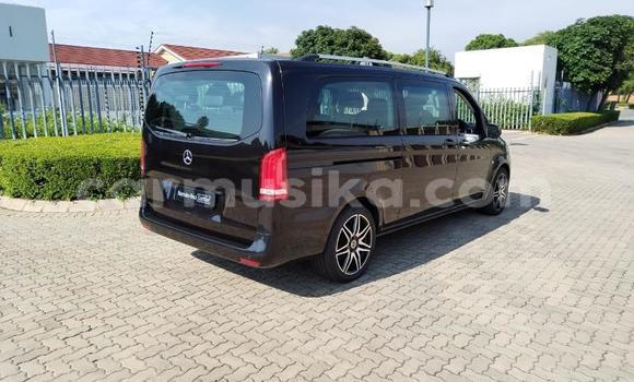 Buy Used Mercedes‒Benz Vito Other Car in Beitbridge in Matabeleland South Buy Used Mercedes‒Benz Vito Other Car in Beitbridge in Matabeleland South