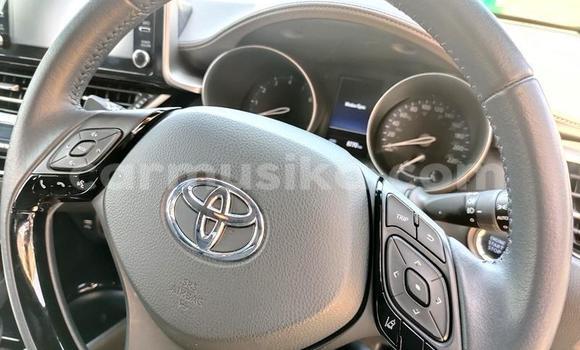 Nunua Ilio tumika Toyota C-HR Fedha Gari ndani ya Beitbridge nchini Matabeleland Kusini Nunua Ilio tumika Toyota C-HR Fedha Gari ndani ya Beitbridge nchini Matabeleland Kusini
