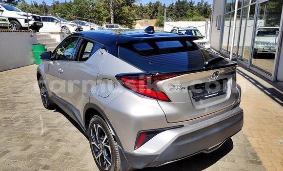 Nunua Ilio tumika Toyota C-HR Fedha Gari ndani ya Beitbridge nchini Matabeleland Kusini Nunua Ilio tumika Toyota C-HR Fedha Gari ndani ya Beitbridge nchini Matabeleland Kusini