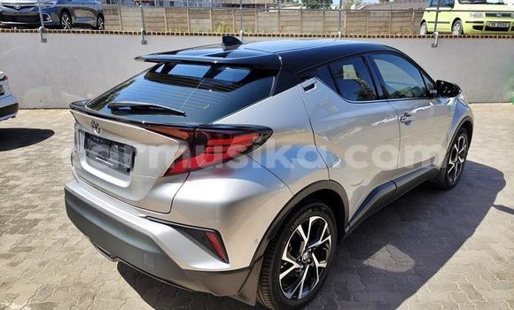 Nunua Ilio tumika Toyota C-HR Fedha Gari ndani ya Beitbridge nchini Matabeleland Kusini Nunua Ilio tumika Toyota C-HR Fedha Gari ndani ya Beitbridge nchini Matabeleland Kusini