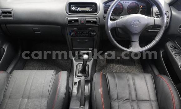 Nunua Ilio tumika Toyota Corolla Kijani Gari ndani ya Beitbridge nchini Matabeleland Kusini Nunua Ilio tumika Toyota Corolla Kijani Gari ndani ya Beitbridge nchini Matabeleland Kusini