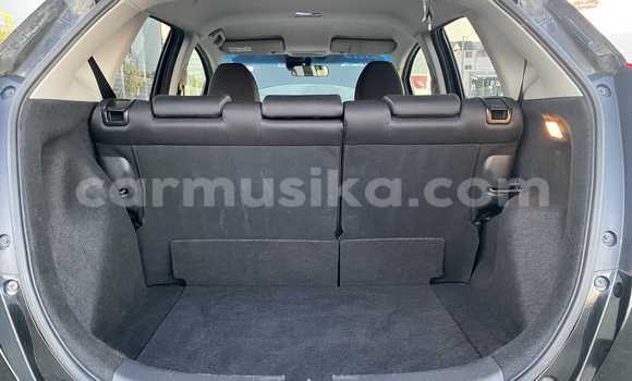 Buy Used Honda Fit Black Car in Beitbridge in Matabeleland South Buy Used Honda Fit Black Car in Beitbridge in Matabeleland South