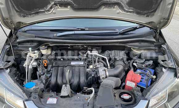 Buy Used Honda Fit Black Car in Beitbridge in Matabeleland South Buy Used Honda Fit Black Car in Beitbridge in Matabeleland South