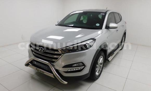 Buy Used Hyundai Tucson Other Car in Beitbridge in Matabeleland South Buy Used Hyundai Tucson Other Car in Beitbridge in Matabeleland South
