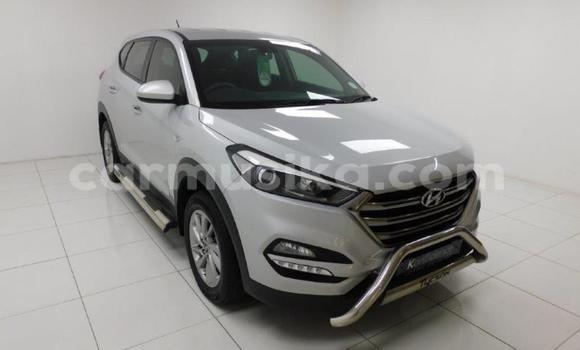 Buy Used Hyundai Tucson Other Car in Beitbridge in Matabeleland South Buy Used Hyundai Tucson Other Car in Beitbridge in Matabeleland South
