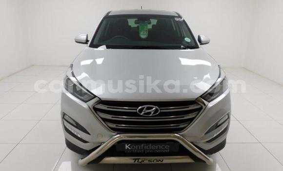 Buy Used Hyundai Tucson Other Car in Beitbridge in Matabeleland South Buy Used Hyundai Tucson Other Car in Beitbridge in Matabeleland South