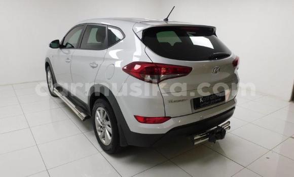 Buy Used Hyundai Tucson Other Car in Beitbridge in Matabeleland South Buy Used Hyundai Tucson Other Car in Beitbridge in Matabeleland South