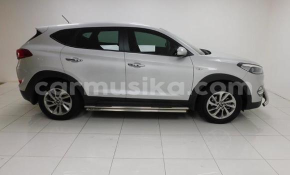 Buy Used Hyundai Tucson Other Car in Beitbridge in Matabeleland South Buy Used Hyundai Tucson Other Car in Beitbridge in Matabeleland South