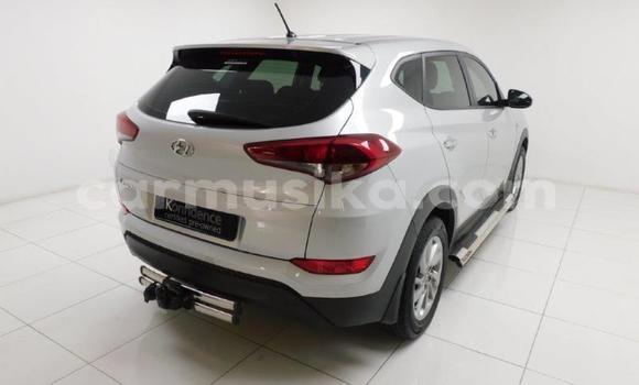 Buy Used Hyundai Tucson Other Car in Beitbridge in Matabeleland South Buy Used Hyundai Tucson Other Car in Beitbridge in Matabeleland South