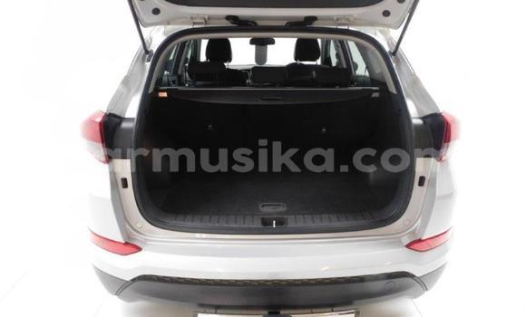 Buy Used Hyundai Tucson Other Car in Beitbridge in Matabeleland South Buy Used Hyundai Tucson Other Car in Beitbridge in Matabeleland South