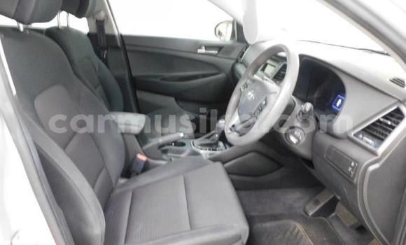 Buy Used Hyundai Tucson Other Car in Beitbridge in Matabeleland South Buy Used Hyundai Tucson Other Car in Beitbridge in Matabeleland South