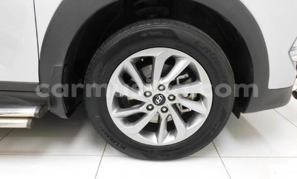 Buy Used Hyundai Tucson Other Car in Beitbridge in Matabeleland South Buy Used Hyundai Tucson Other Car in Beitbridge in Matabeleland South