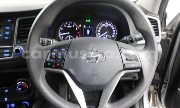 Buy Used Hyundai Tucson Other Car in Beitbridge in Matabeleland South Buy Used Hyundai Tucson Other Car in Beitbridge in Matabeleland South