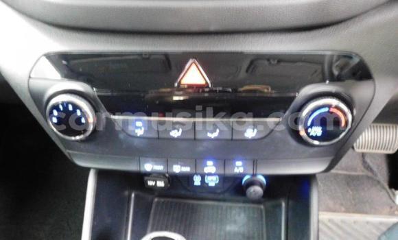 Buy Used Hyundai Tucson Other Car in Beitbridge in Matabeleland South Buy Used Hyundai Tucson Other Car in Beitbridge in Matabeleland South