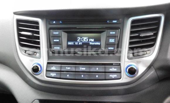 Buy Used Hyundai Tucson Other Car in Beitbridge in Matabeleland South Buy Used Hyundai Tucson Other Car in Beitbridge in Matabeleland South