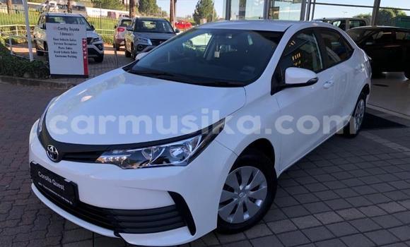 Buy Used Toyota Corolla White Car in Beitbridge in Matabeleland South