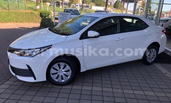 Nunua Ilio tumika Toyota Corolla Nyeupe Gari ndani ya Beitbridge nchini Matabeleland Kusini Nunua Ilio tumika Toyota Corolla Nyeupe Gari ndani ya Beitbridge nchini Matabeleland Kusini