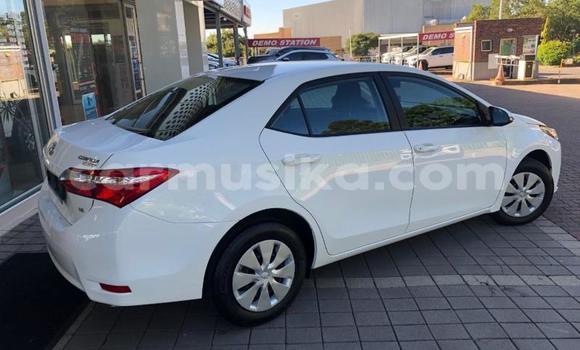 Nunua Ilio tumika Toyota Corolla Nyeupe Gari ndani ya Beitbridge nchini Matabeleland Kusini Nunua Ilio tumika Toyota Corolla Nyeupe Gari ndani ya Beitbridge nchini Matabeleland Kusini