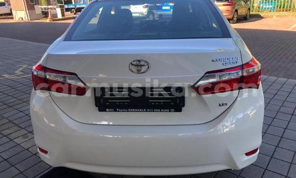 Nunua Ilio tumika Toyota Corolla Nyeupe Gari ndani ya Beitbridge nchini Matabeleland Kusini Nunua Ilio tumika Toyota Corolla Nyeupe Gari ndani ya Beitbridge nchini Matabeleland Kusini