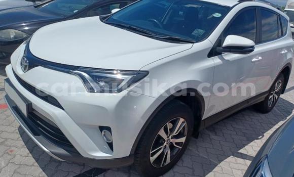 Buy Used Toyota RAV4 White Car in Beitbridge in Matabeleland South